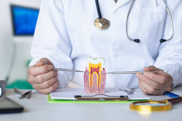 Best Mobile Emergency Dentist in Swede Heaven, WA